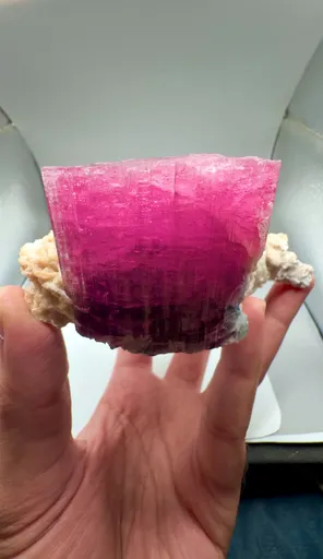 specimen video