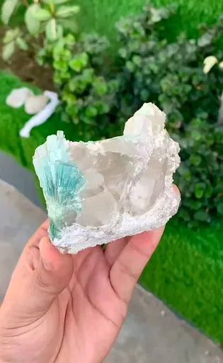 specimen video