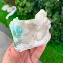 specimen video
