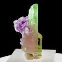 specimen video