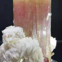 specimen video