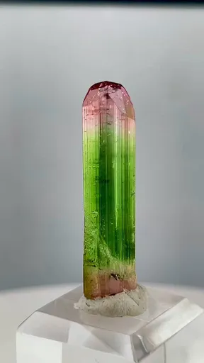 specimen video