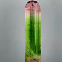 specimen video