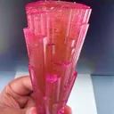 specimen video