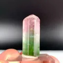 specimen video