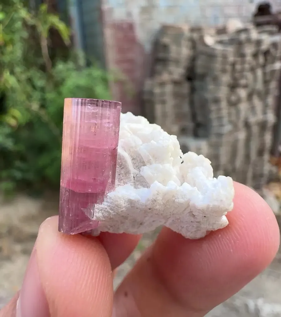 Tourmaline from Afghanistan image