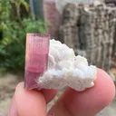 Tourmaline from Afghanistan - image 1
