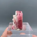 Tourmaline from Afghanistan - image 8