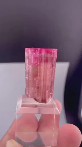 specimen video