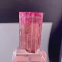 specimen video