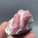 Tourmaline from Afghanistan - image 4