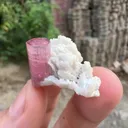 Tourmaline from Afghanistan - image 2