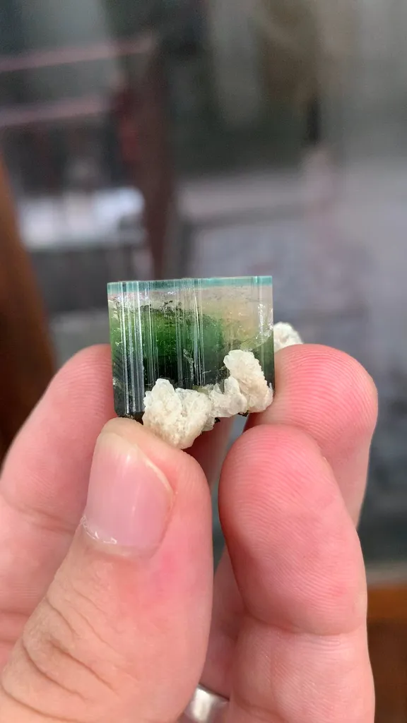 specimen video