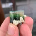 specimen video