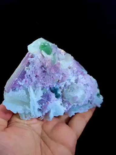 specimen video