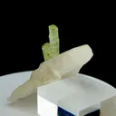 specimen video