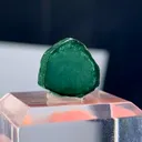 specimen video