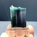 specimen video