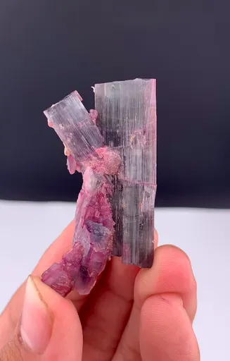 specimen video