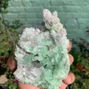 Tourmaline from Afghanistan - image 4