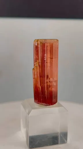 specimen video