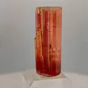 specimen video
