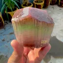 specimen video