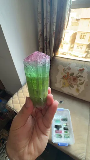 specimen video