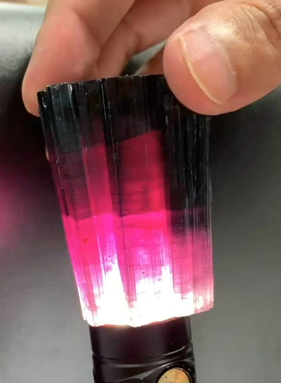 specimen video