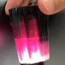 specimen video