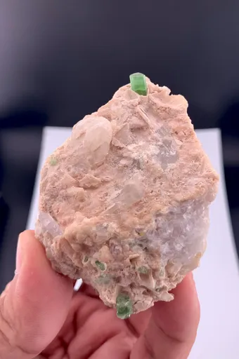 specimen video