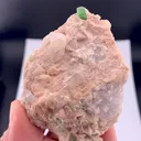 specimen video