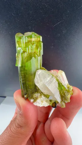 specimen video