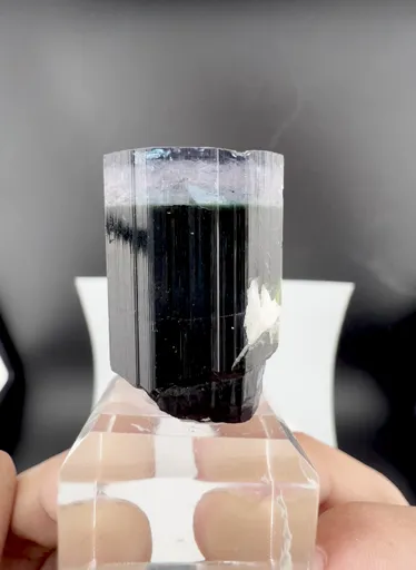 specimen video