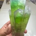specimen video