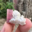 Tourmaline from Afghanistan - image 6