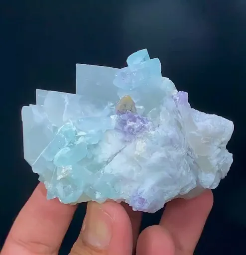specimen video