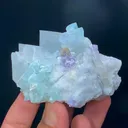 specimen video