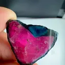 specimen video