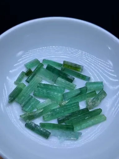 specimen video