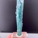 specimen video