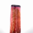 specimen video