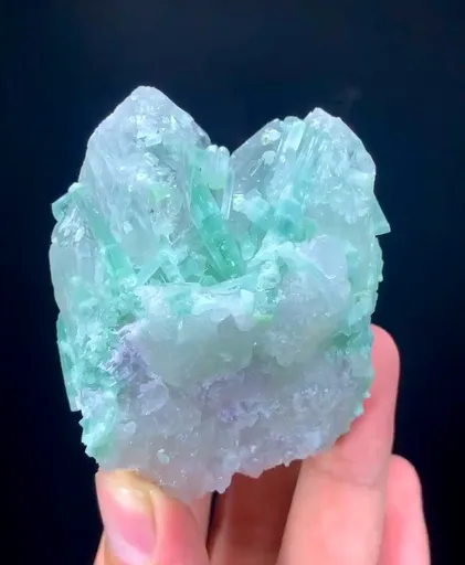 specimen video