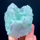 specimen video