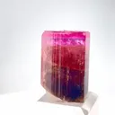 specimen video