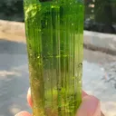 specimen video