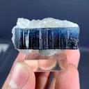 specimen video