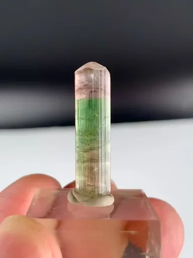 specimen video