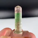 specimen video