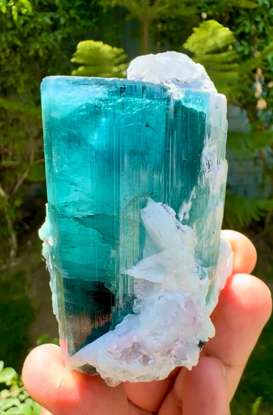 Tourmaline from Afghanistan, Laghman - image 6